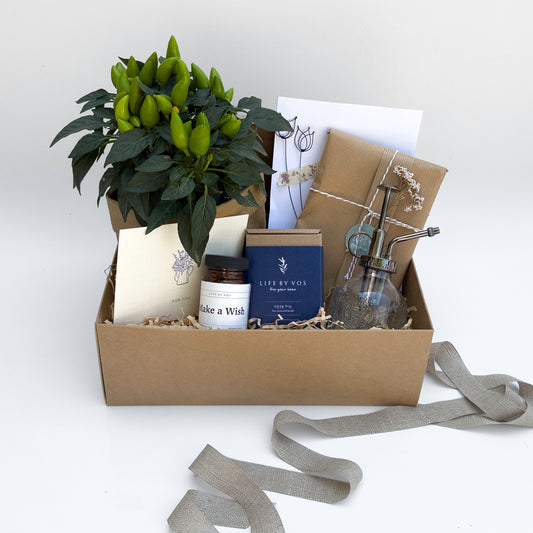 מארז עציץ עונתי