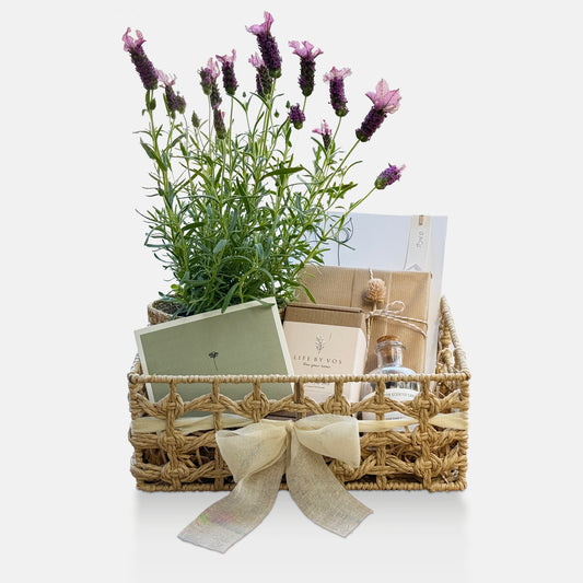 מארז עציץ בסל