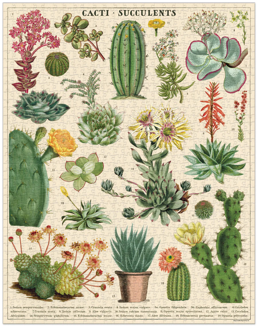 פאזל 1000 חלקים: Cacti & Succulents
