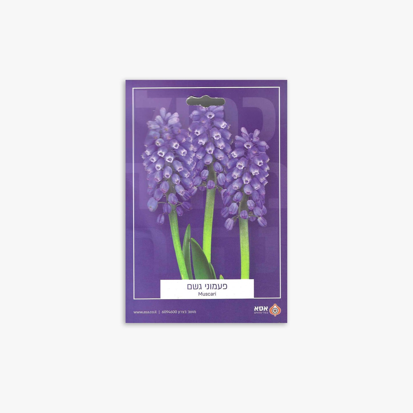 פקעות פעמוני גשם