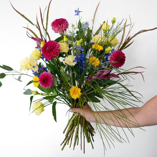 זר בורדו, צהוב וכחול