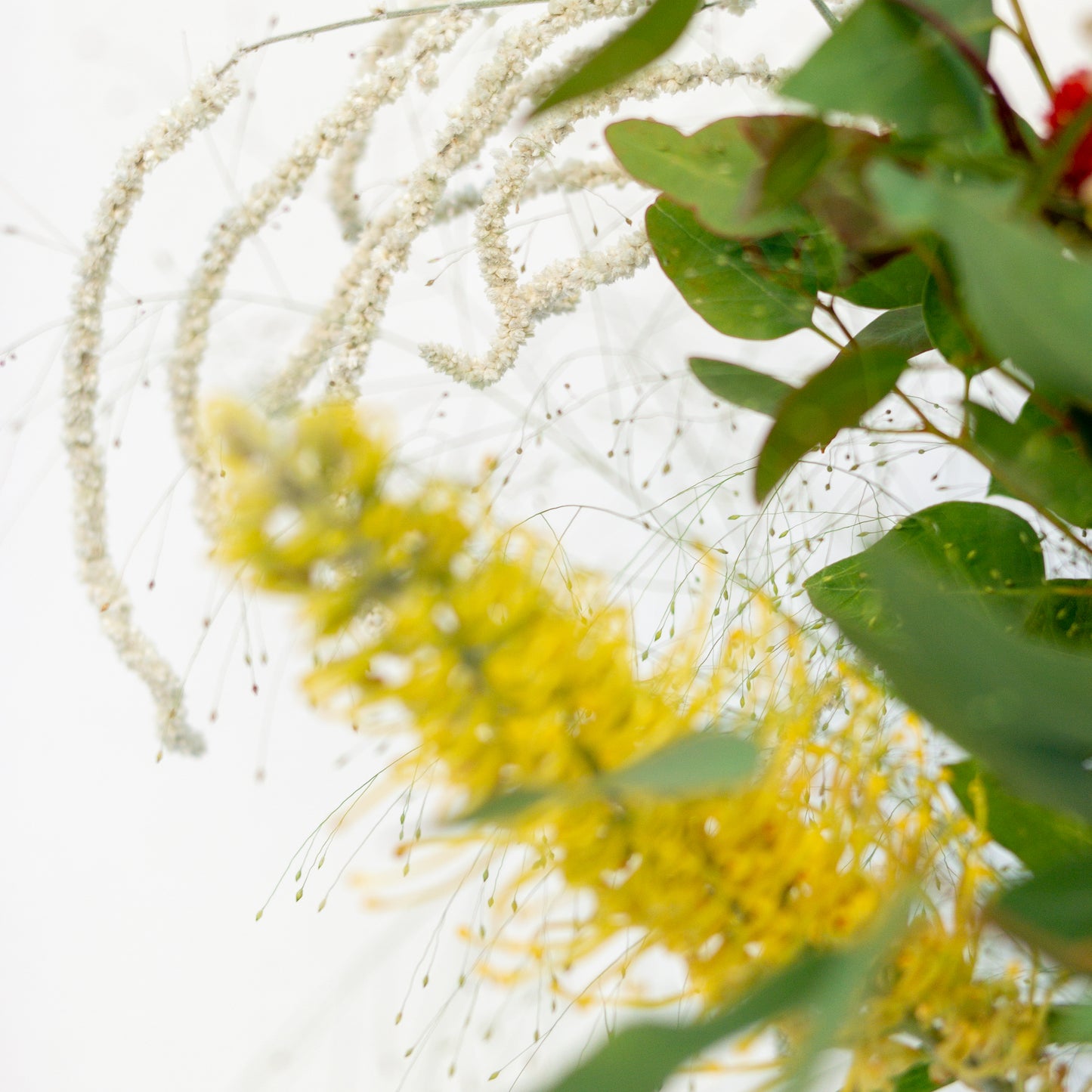 זר צהוב, לבן וכתום