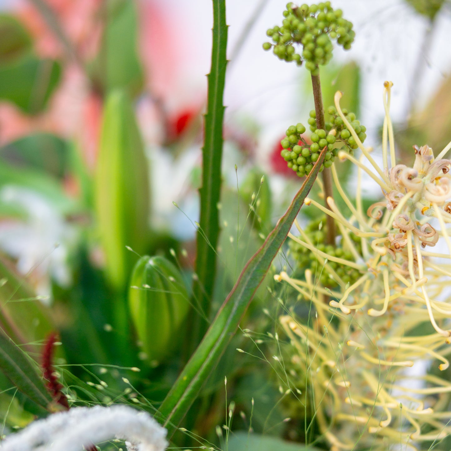 זר צהוב, לבן וכתום