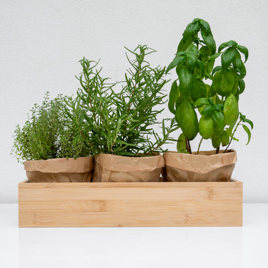 עשבי תיבול במגש עץ