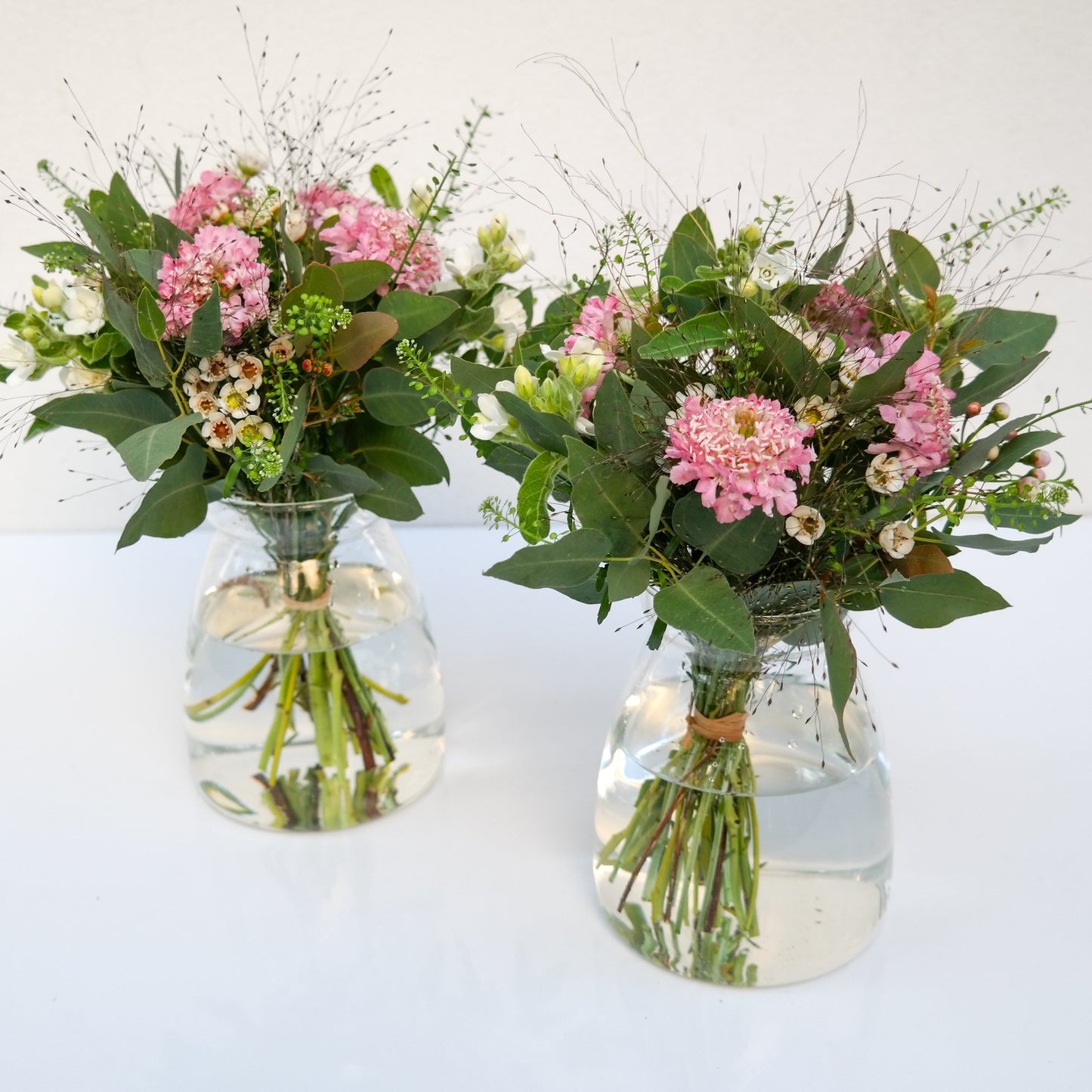 ורוד לבן ירוק