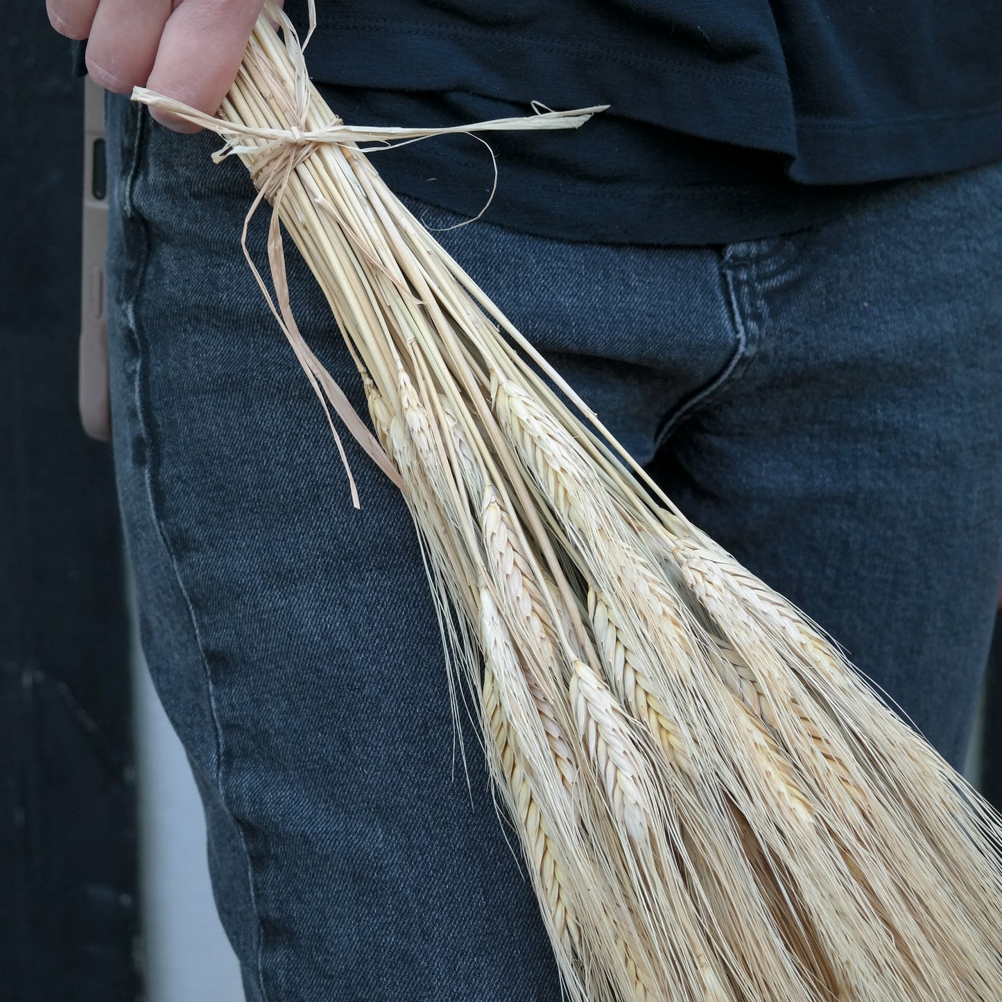 שיבולי חיטה