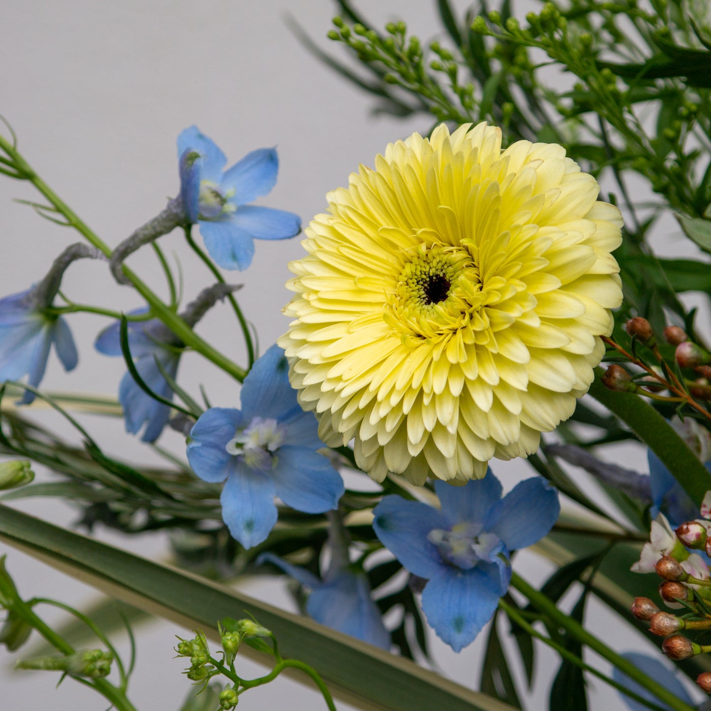 זר צהבהב תכלת וירוק