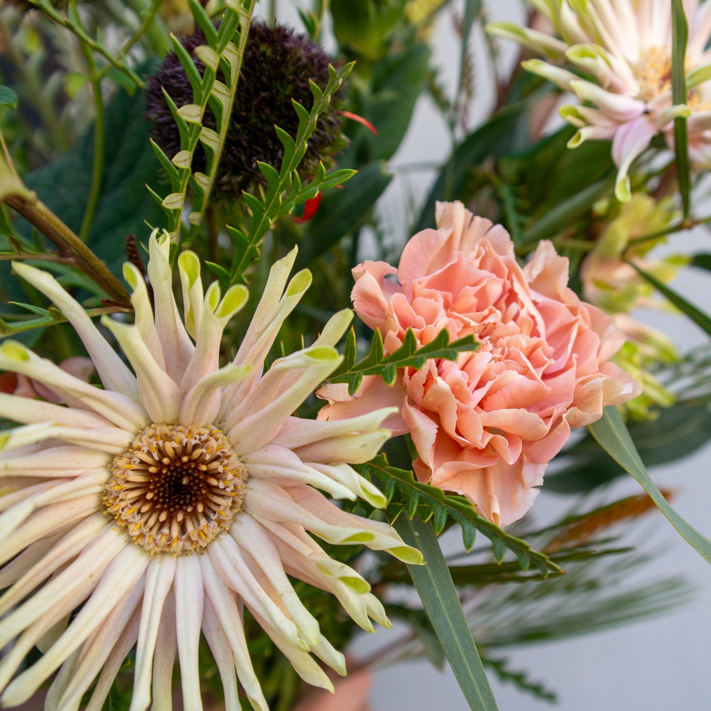 זר ורדרד, בורדו וירוק