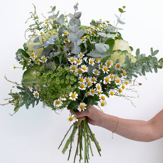 זר לבן, ירוק ותכלת