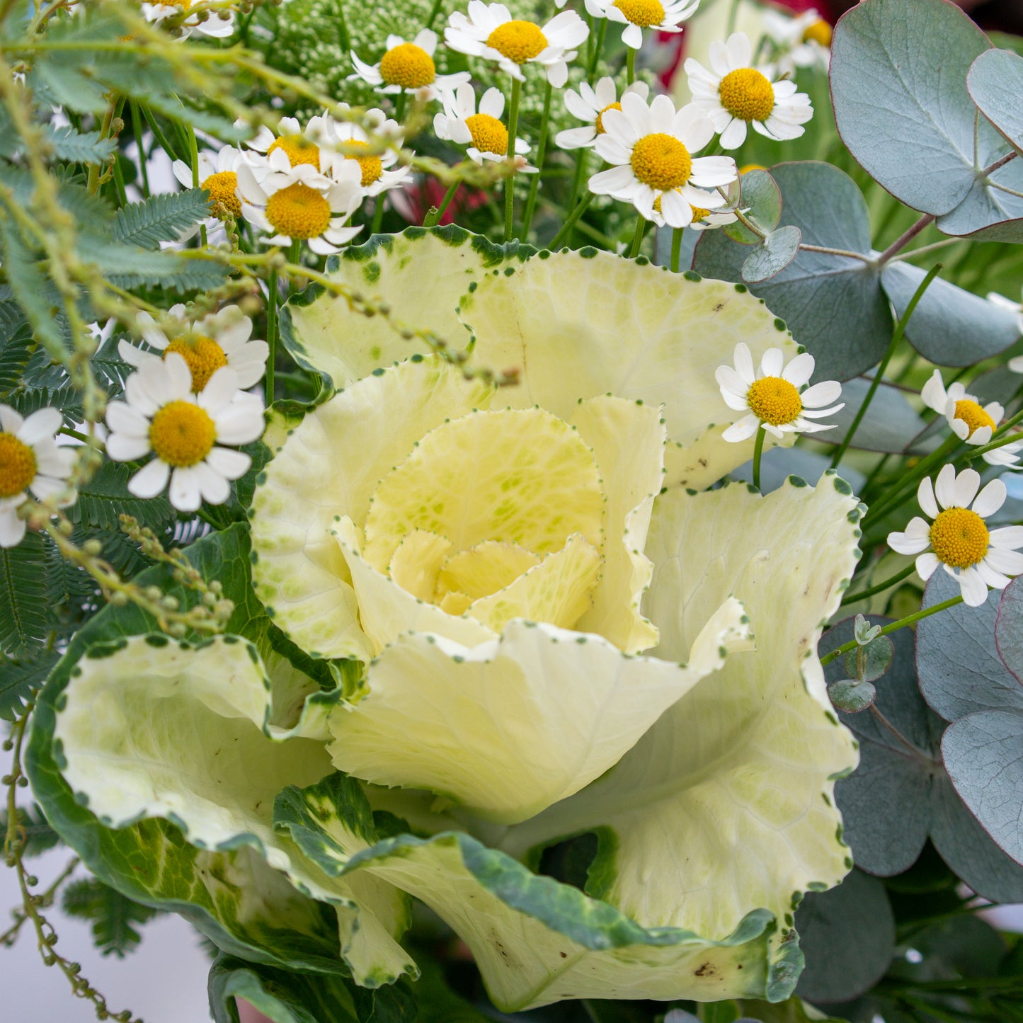 זר לבן, ירוק ותכלת