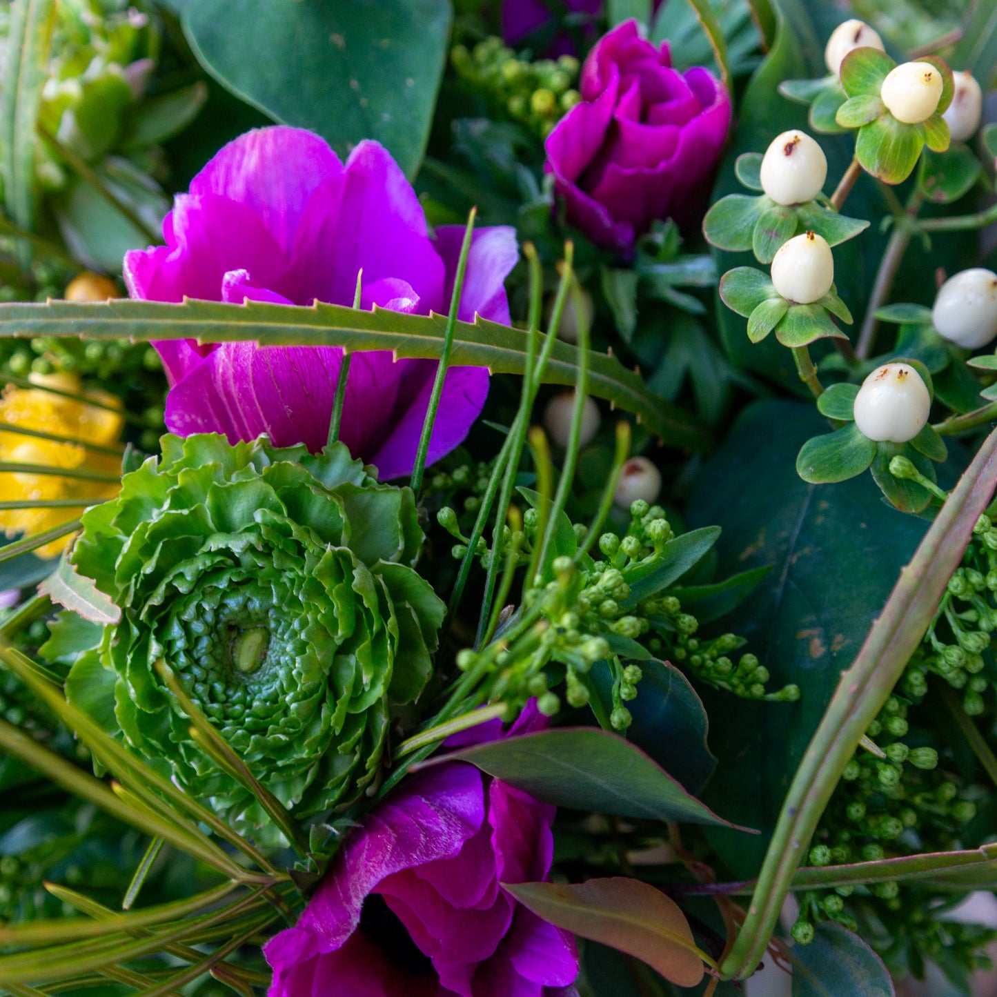 זר ורוד, ירוק עם צהוב