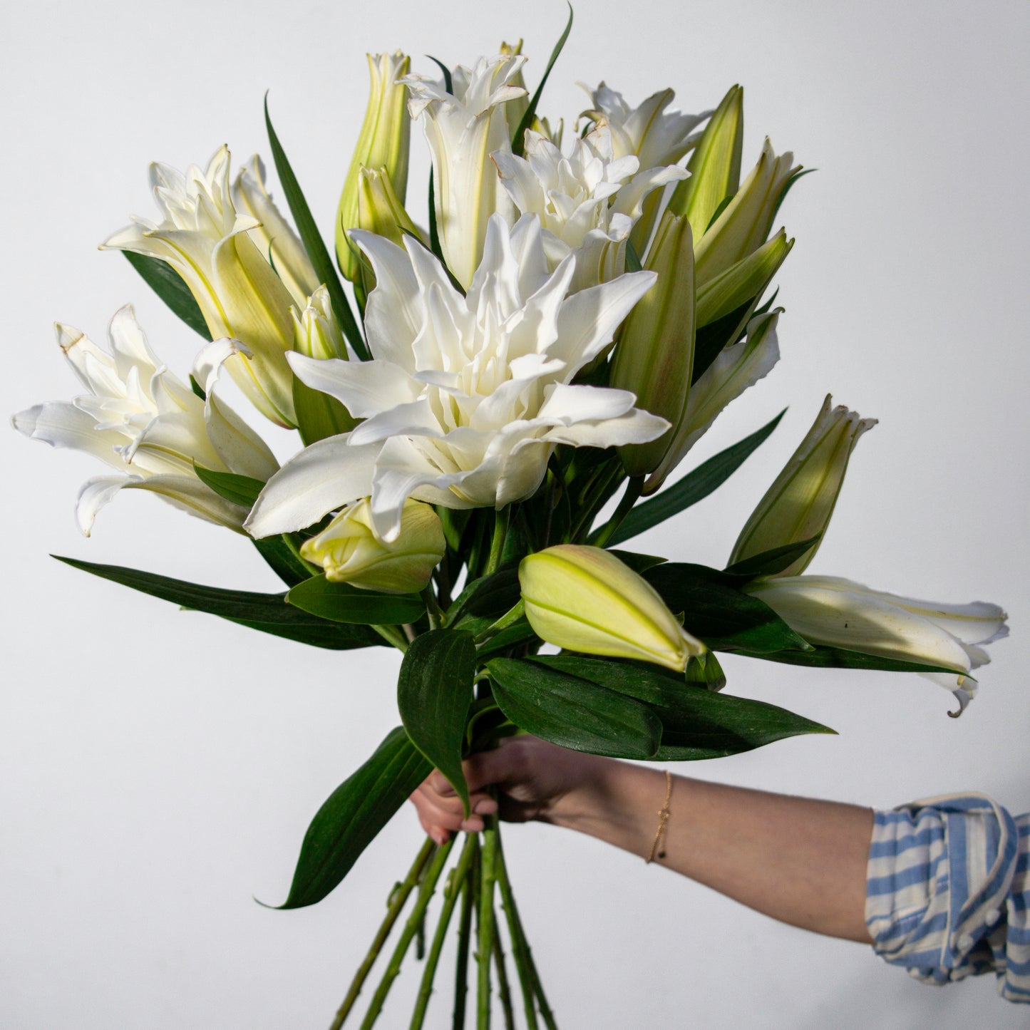 זר שושן אוריינטלי כפול