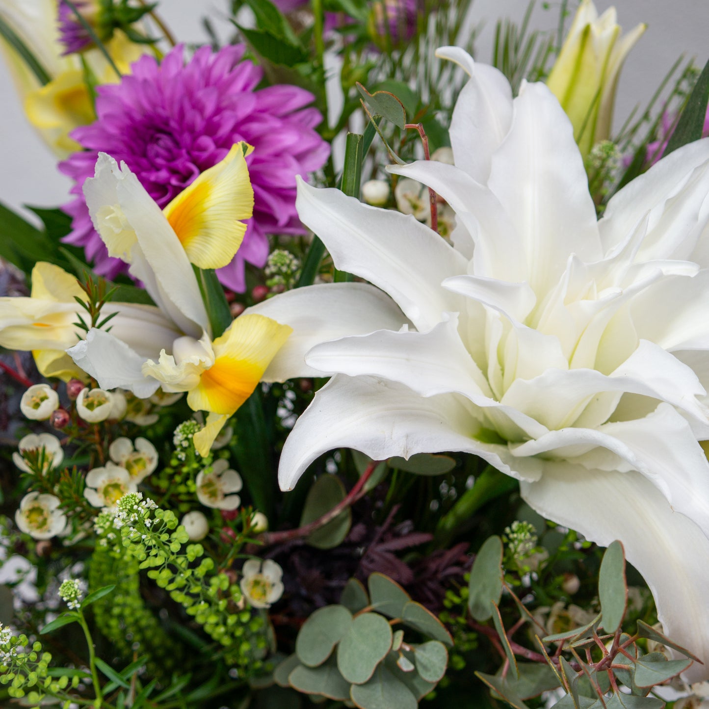 זר סגול, לבן וצהבהב