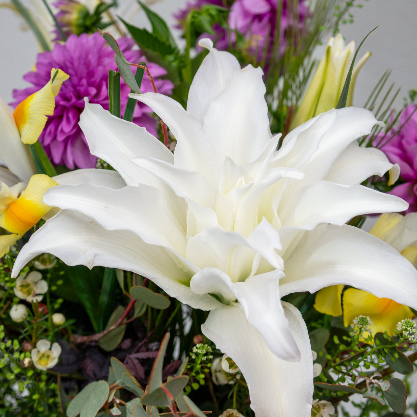 זר סגול, לבן וצהבהב