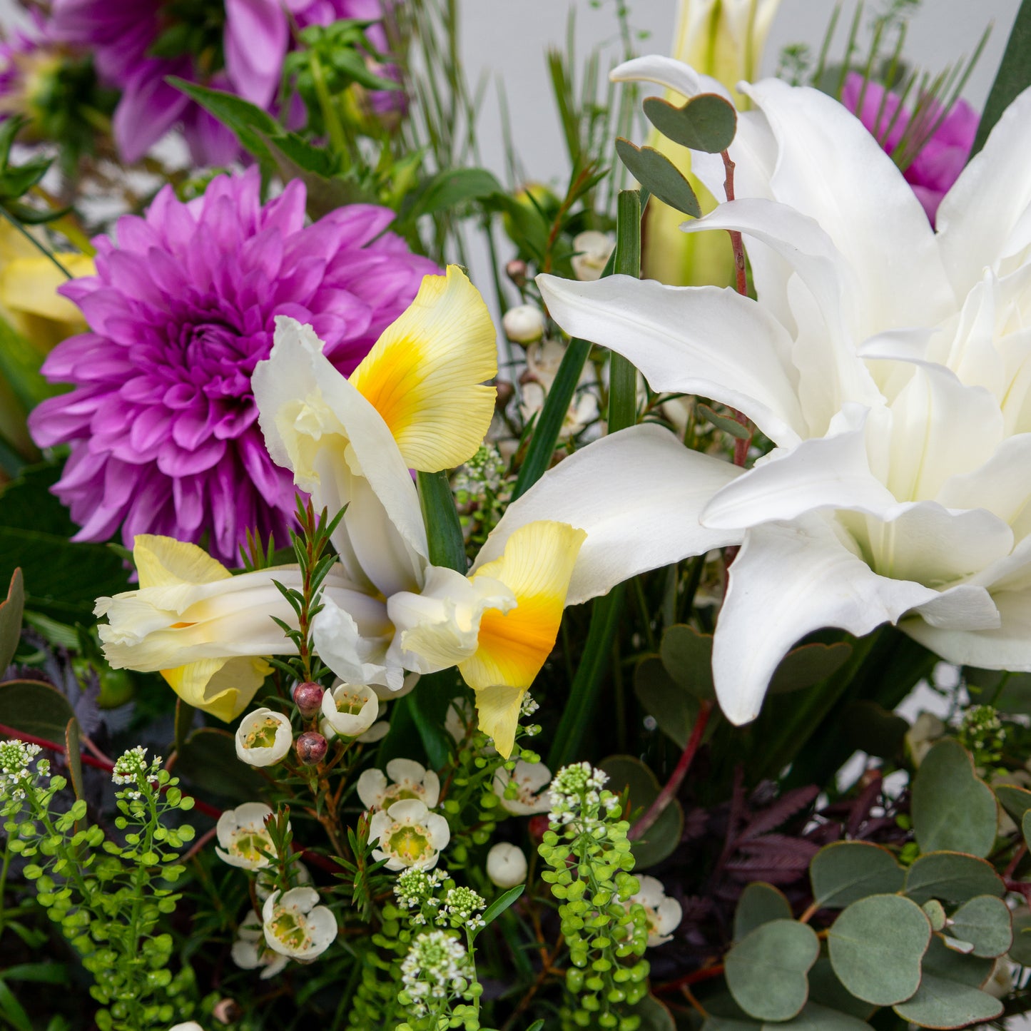 זר סגול, לבן וצהבהב