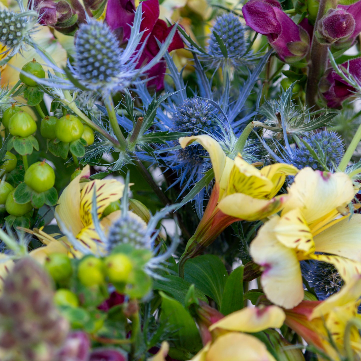 זר צהוב, סגול עם נגיעת בורדו
