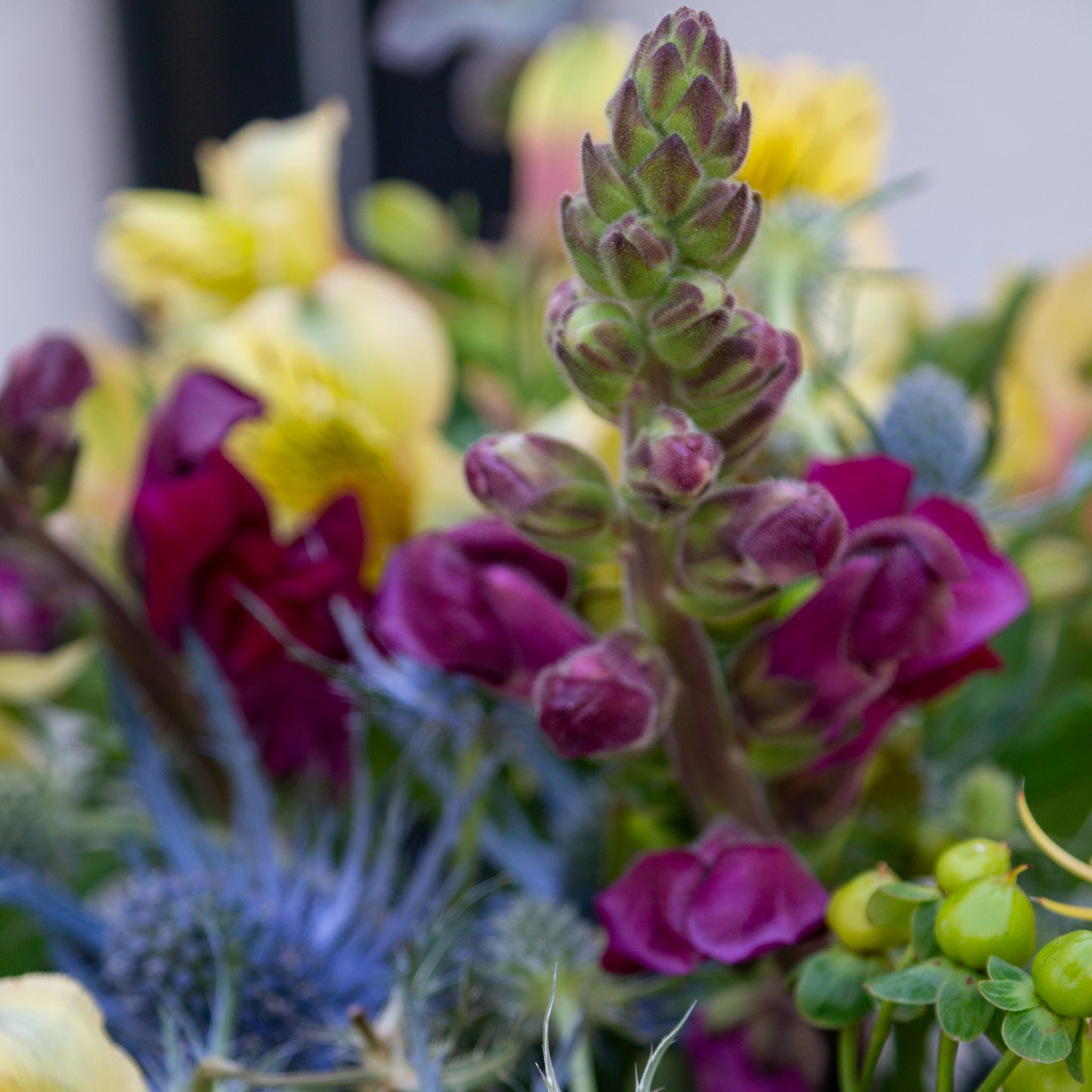 זר צהוב, סגול עם נגיעת בורדו