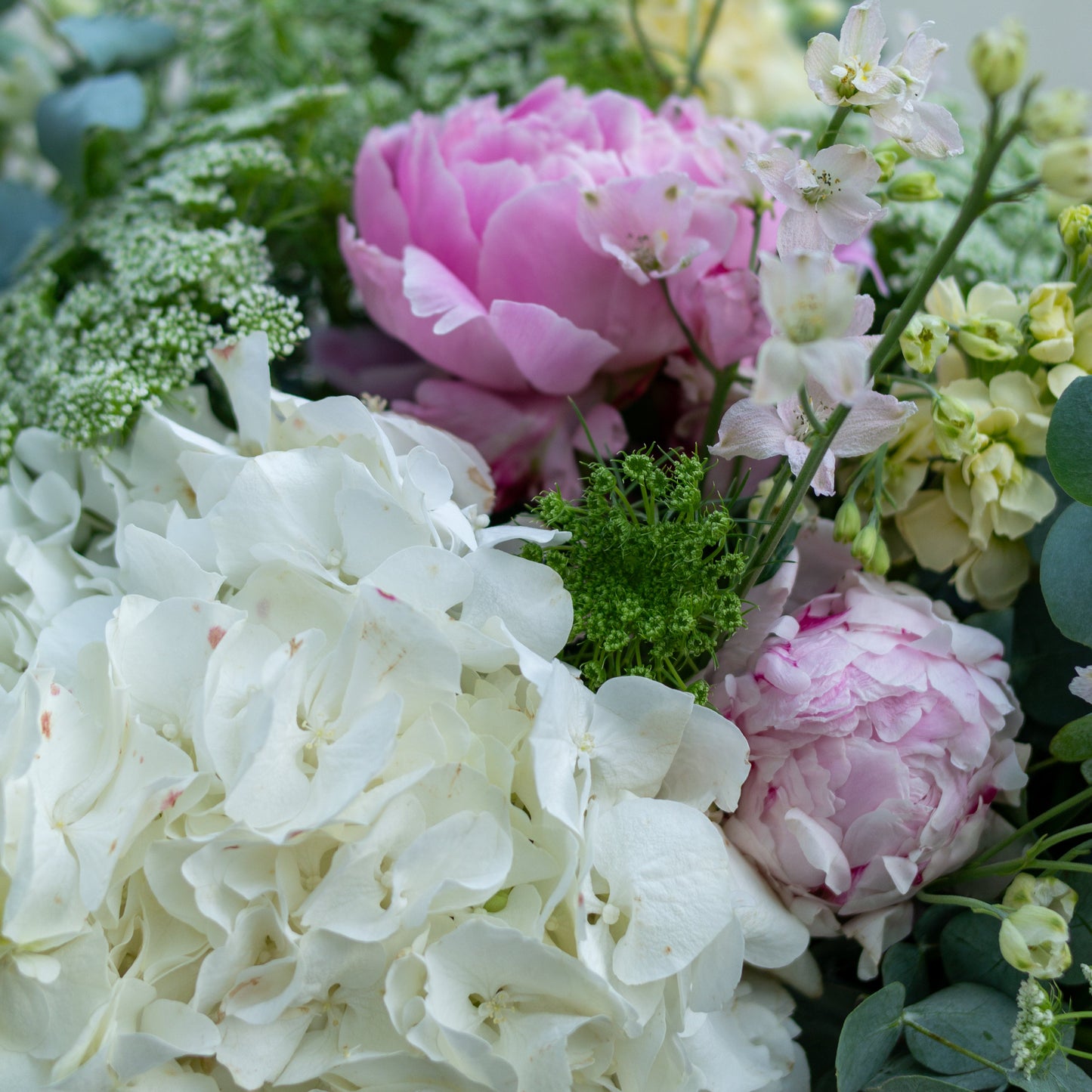 זר לבן, עם נגיעות של צהוב וורוד בהיר