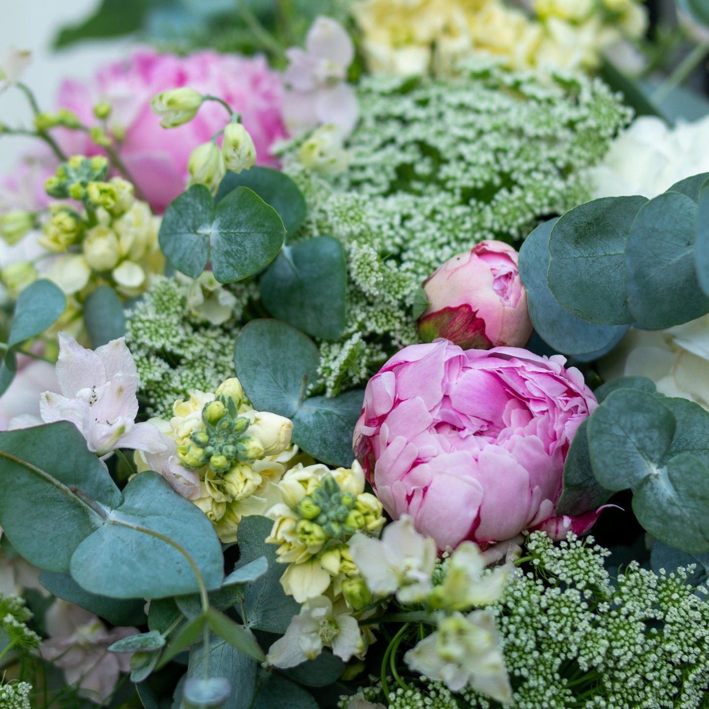 זר לבן, עם נגיעות של צהוב וורוד בהיר