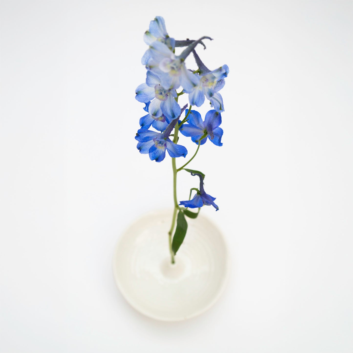 כלי דקורטיבי לקטורת/ פרח בודד