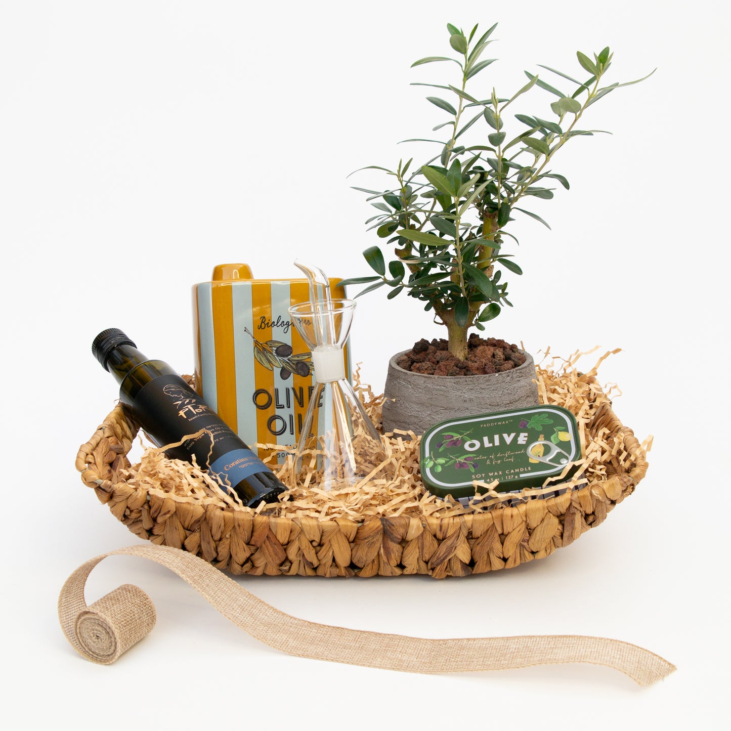 עץ זית בונסאי