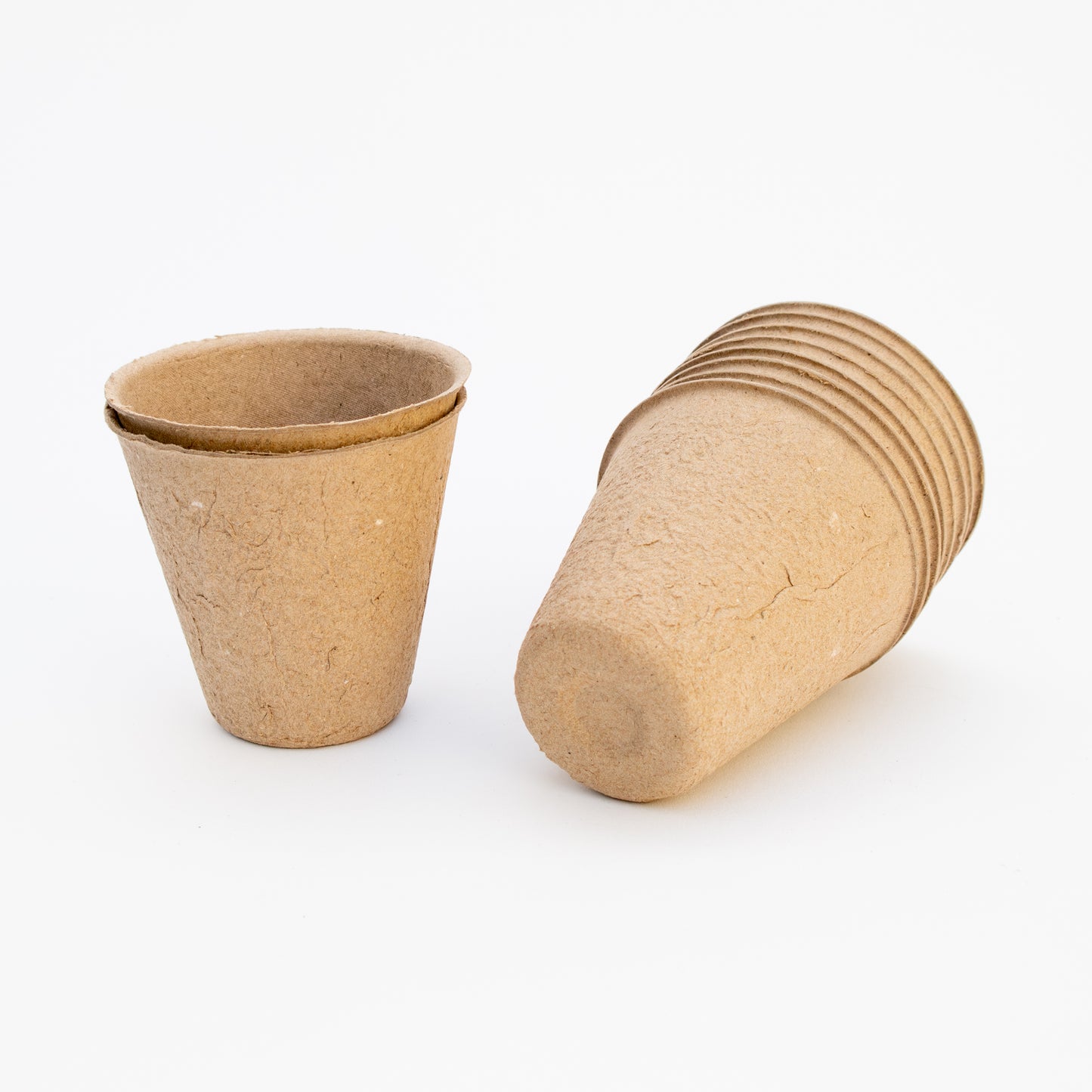 עציצי שתילה מתכלים לשתילים – מארז 10 יחידות