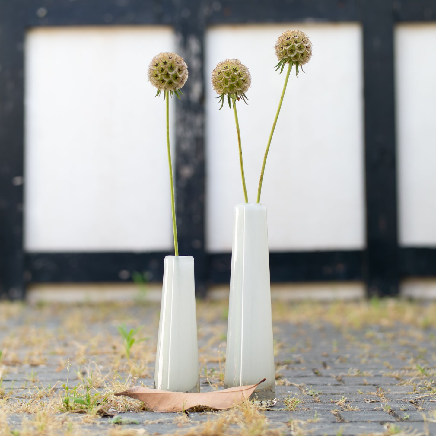 תגית בר