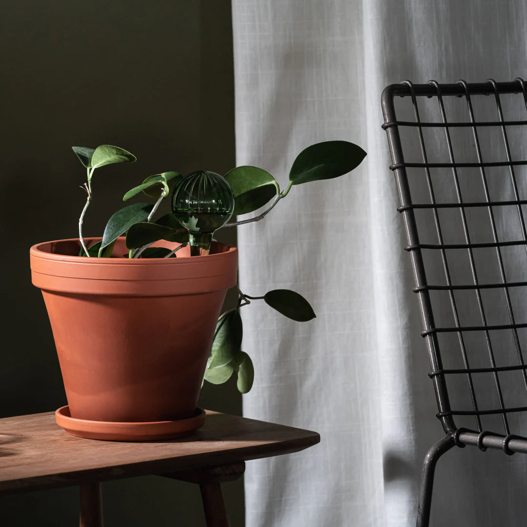 בועת השקיה לצמחים: Green S