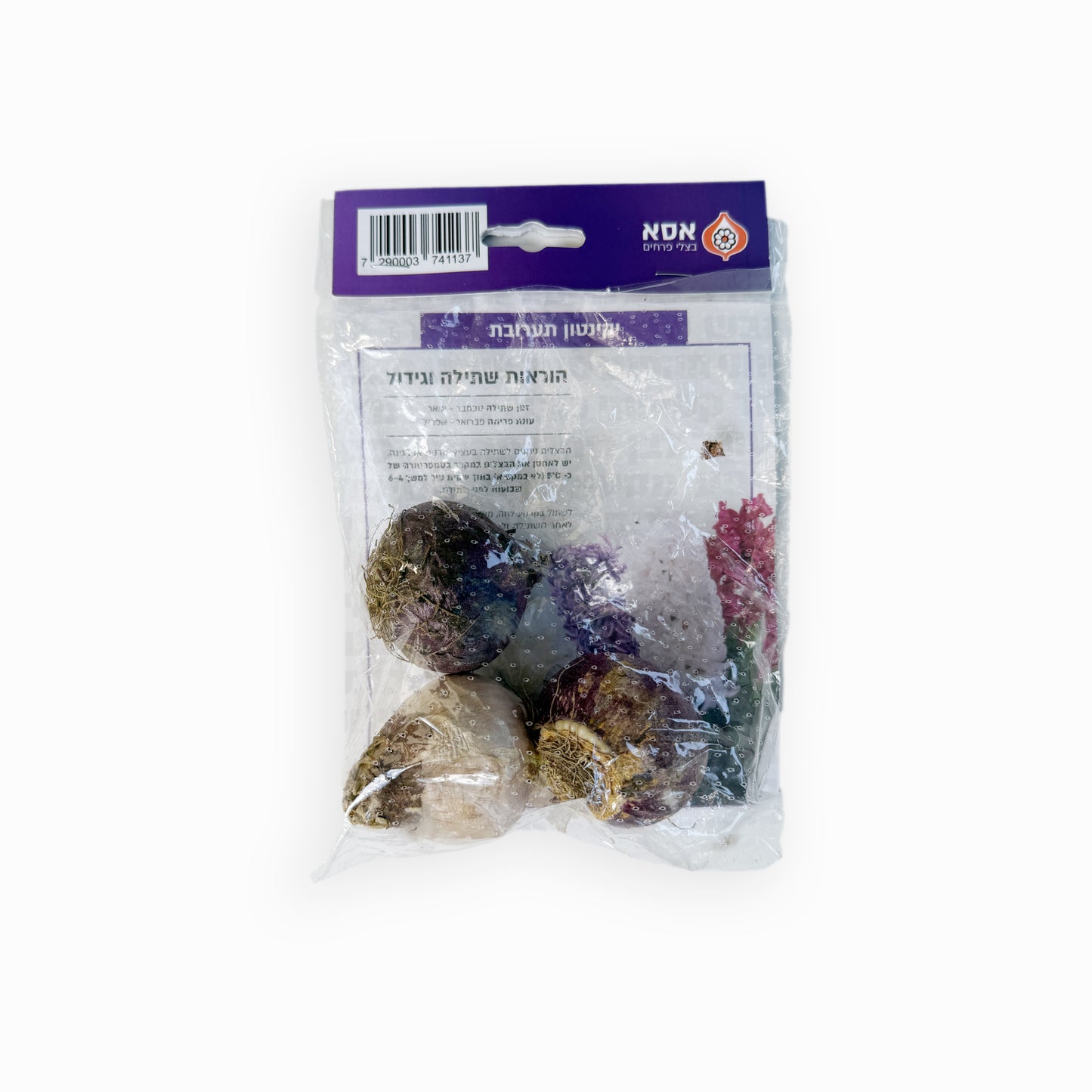 פקעות יקינטון תערובת