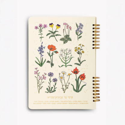 מחברת ספירלה: Wild Chart