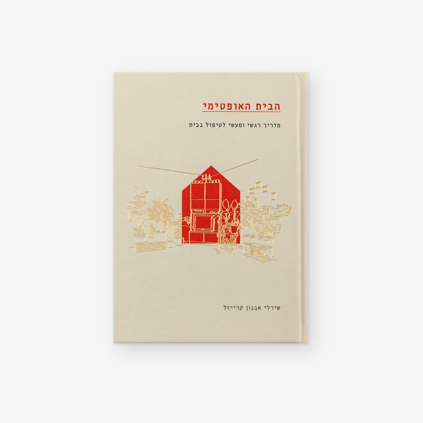 הבית האופטימי