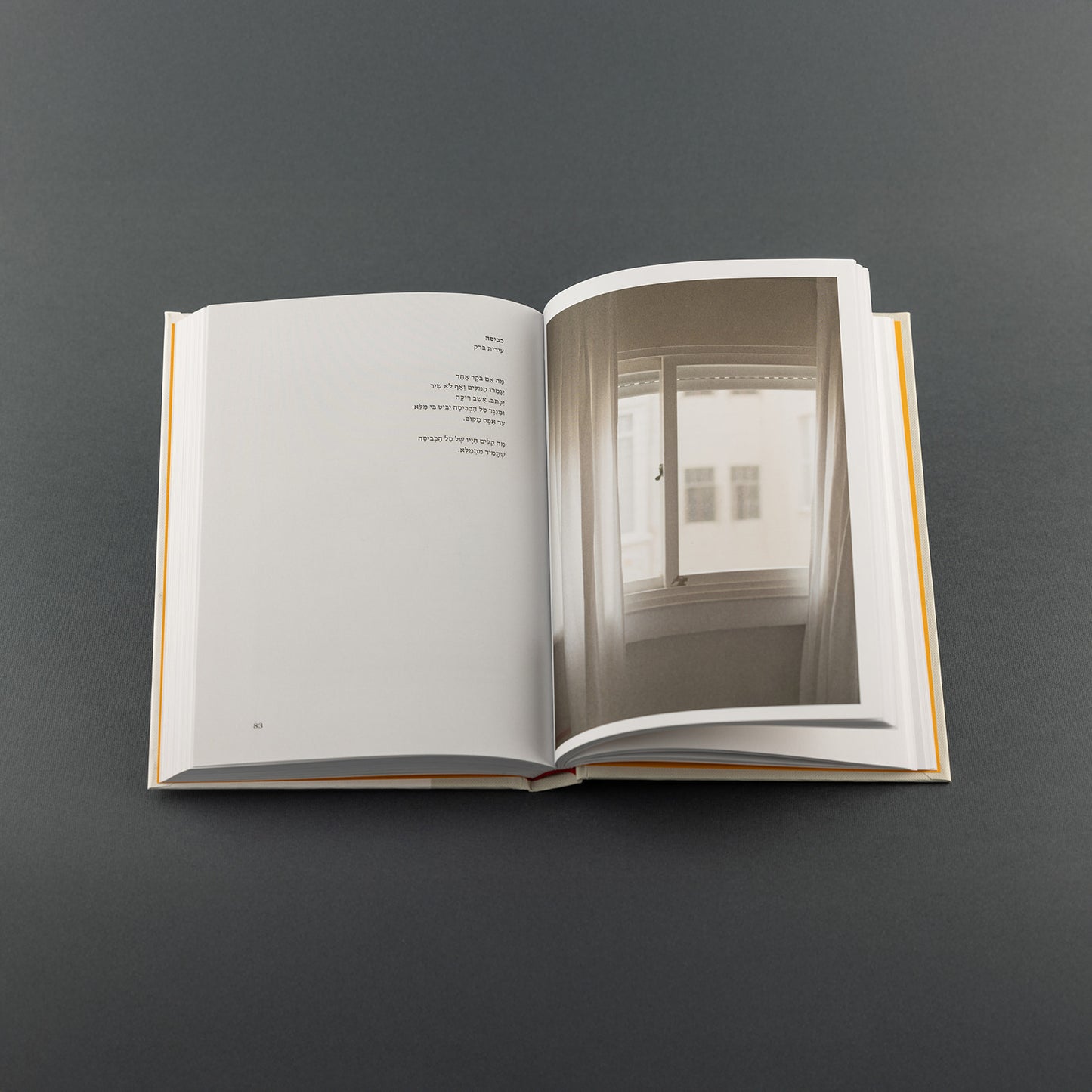 הבית האופטימי