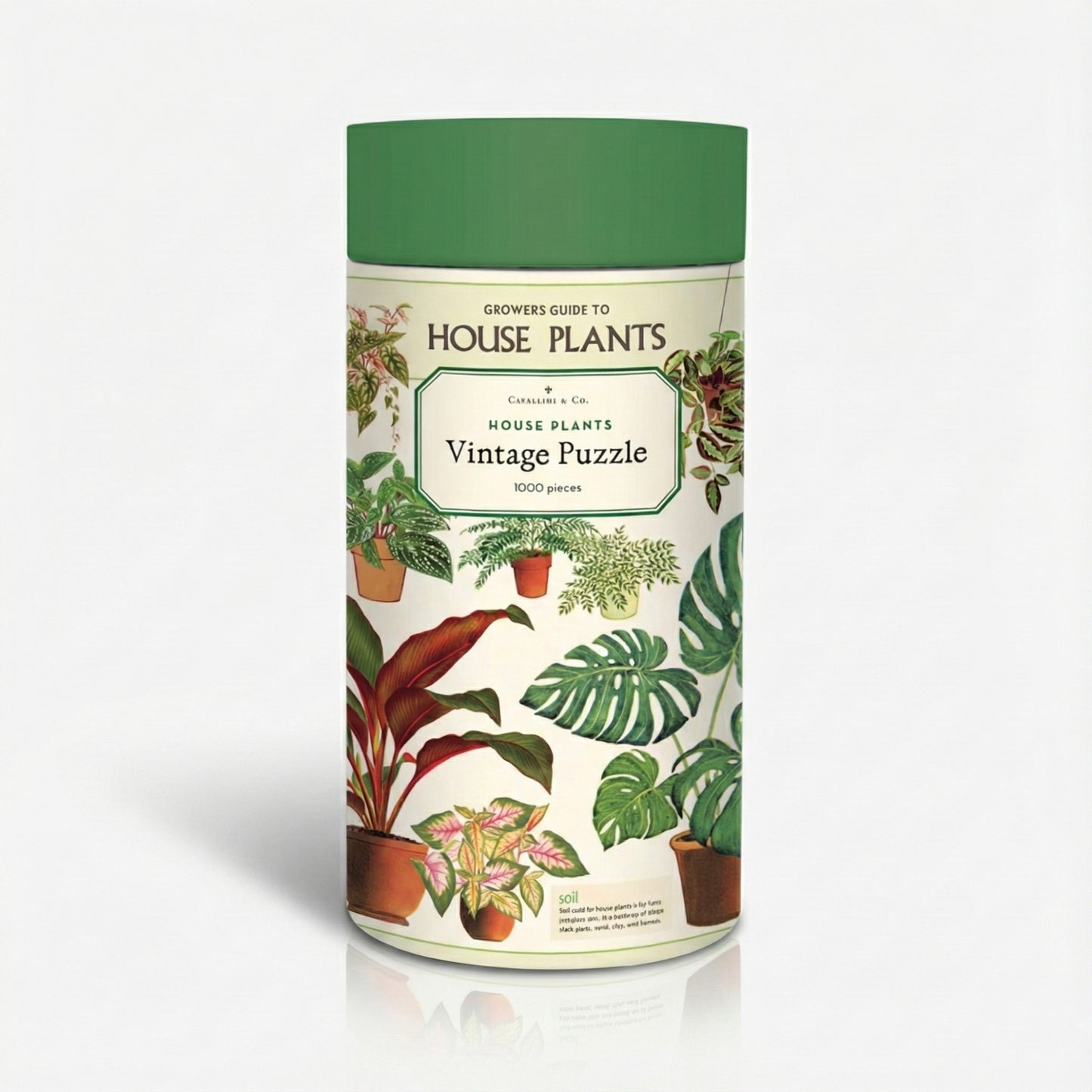 פאזל 1000 חלקים: House Plants