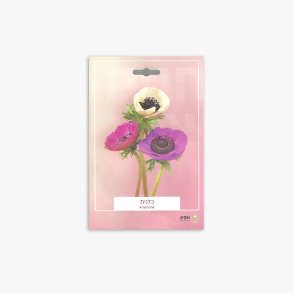 פקעות כלנית