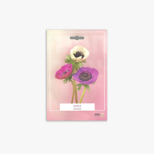 פקעות כלנית