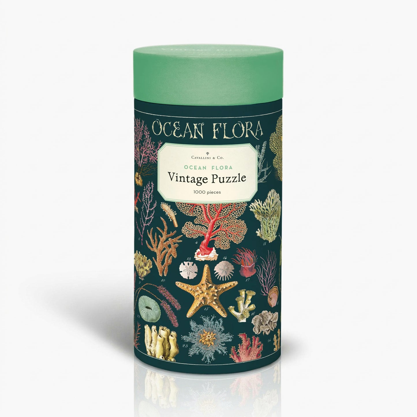 פאזל 1000 חלקים: Ocean Flora