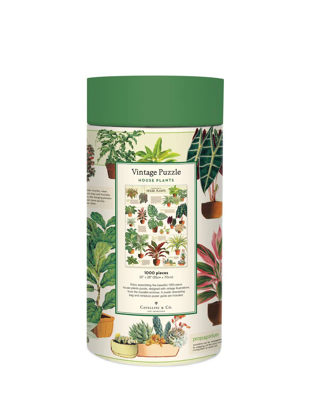 פאזל 1000 חלקים: House Plants