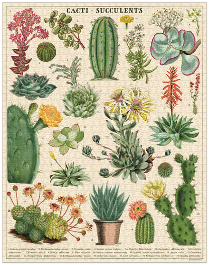 פאזל 1000 חלקים: Cacti & Succulents