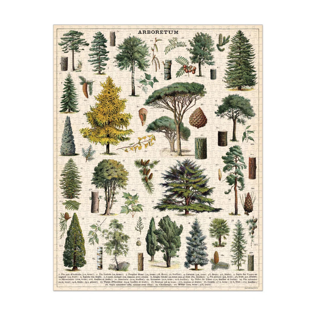 פאזל 1000 חלקים: Arboretum