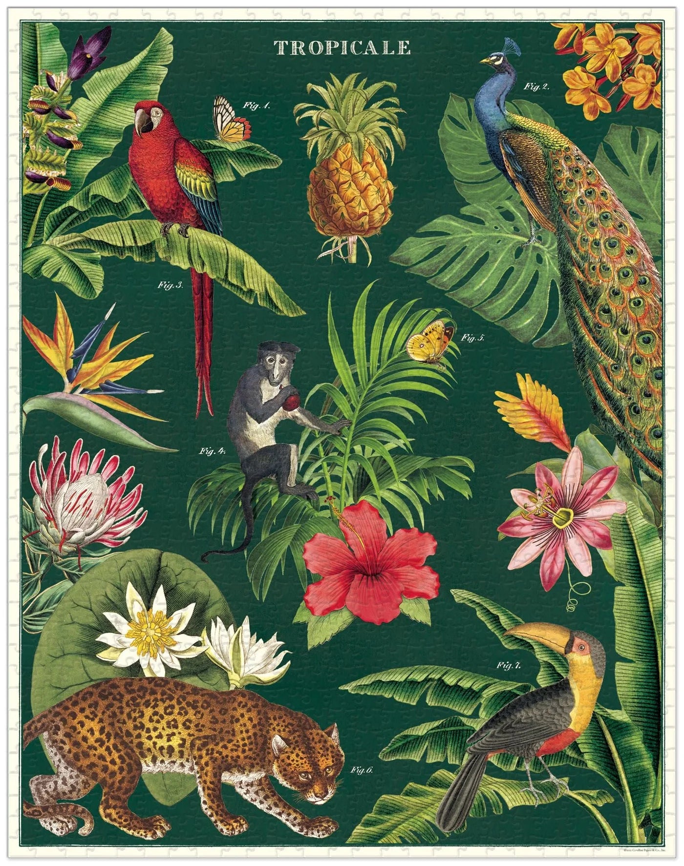 פאזל 1000 חלקים: Tropicale
