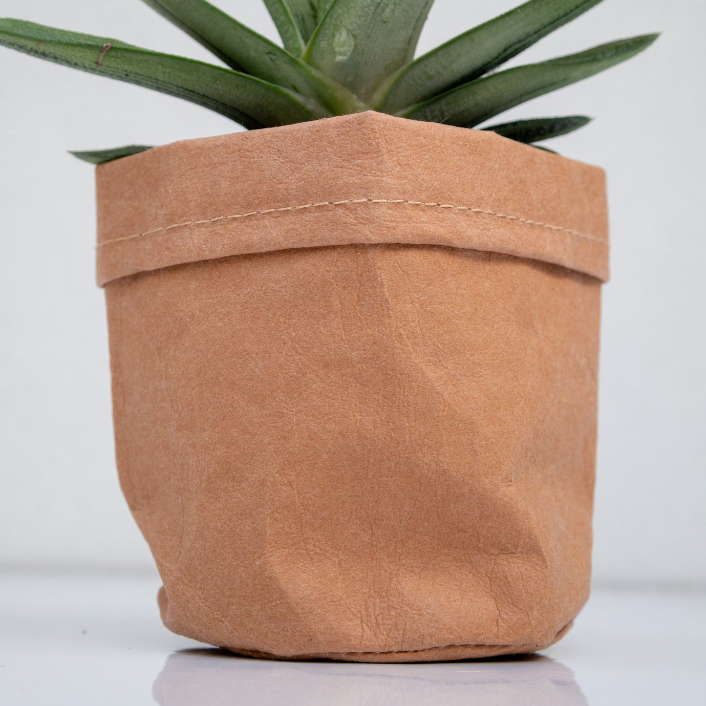 סקלונט בכלי דמוי נייר חום