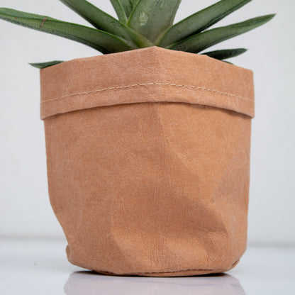 סקלונט בכלי דמוי נייר חום