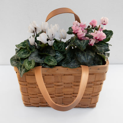 רקפות בסלסלת קש