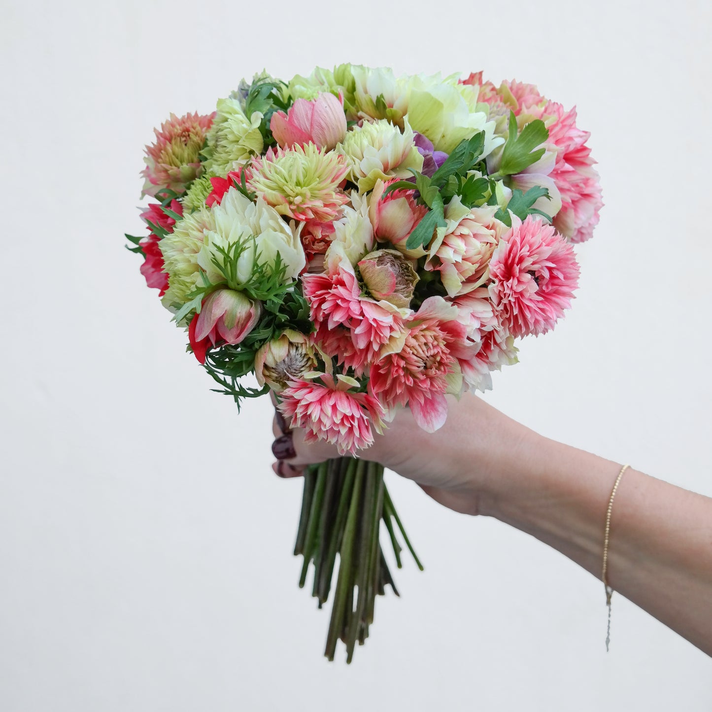 זר כלניות פולסטאר