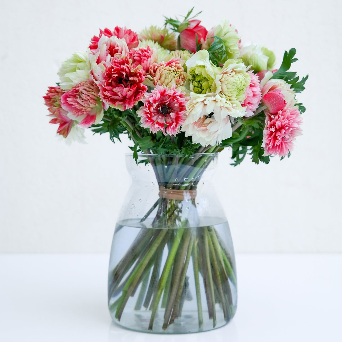 זר כלניות פולסטאר