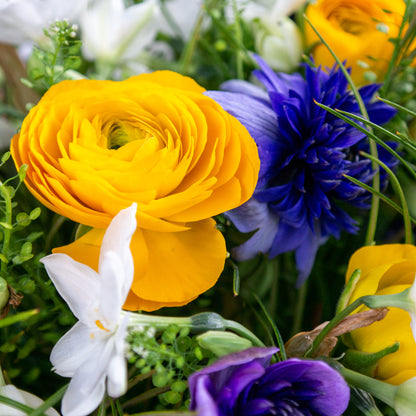 זר בשלל צבעים