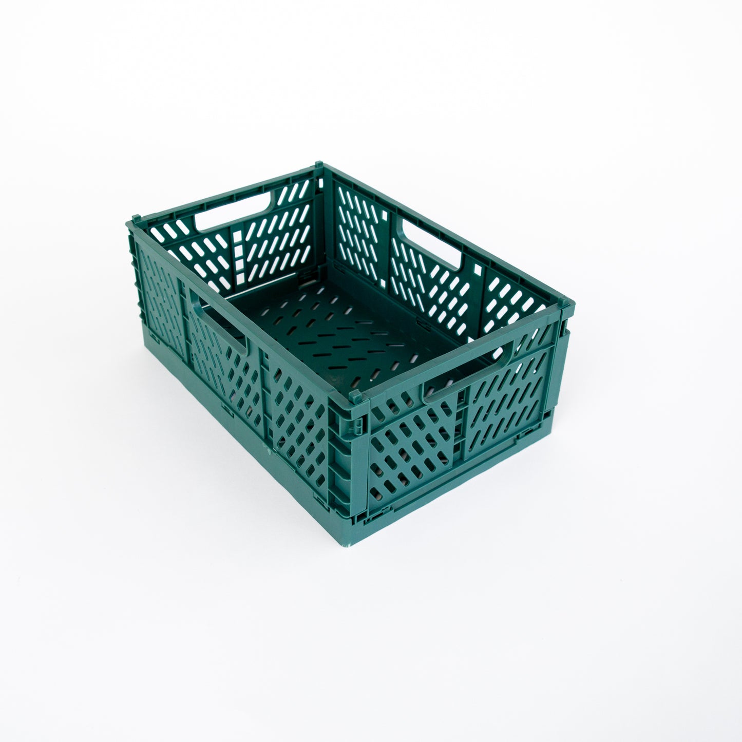 מארז ט"ו בשבט - השקדיה פורחת