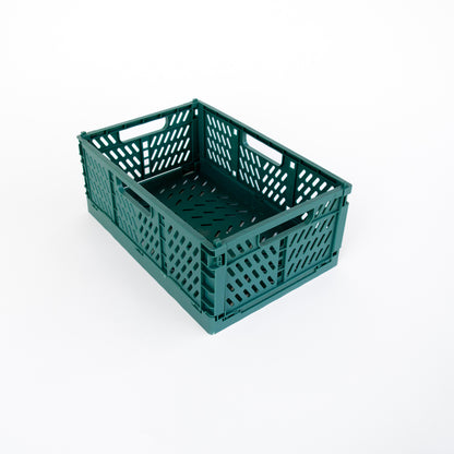 מארז ט"ו בשבט - השקדיה פורחת