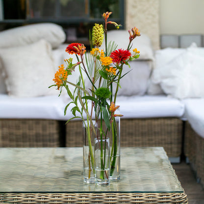 אגרטל זכוכית צילינדר – שלושה גבהים