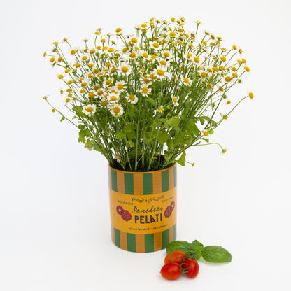 כלי חרס: Pomodori